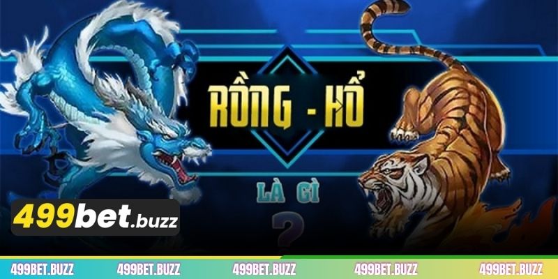 অনলাইন ড্রাগন টাইগার গেমের বেটিং অপশনসমূহ