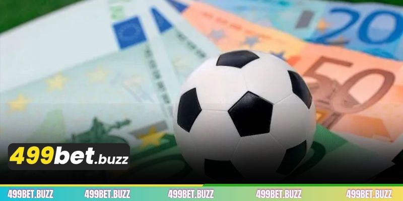 মাল্টি বেট কি? সাধারণ ধারণা এবং এর গুরুত্ব